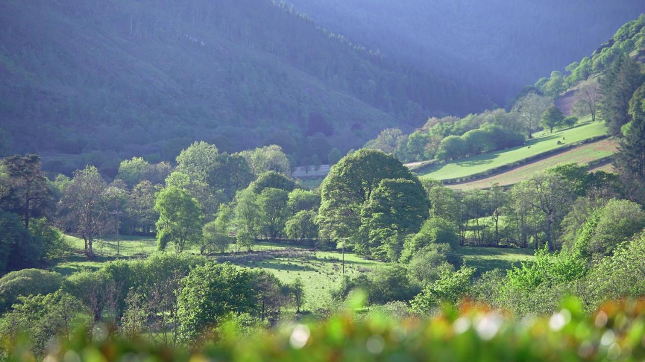 Kilsby Cottage Llanwrtyd Wells Екстер'єр фото
